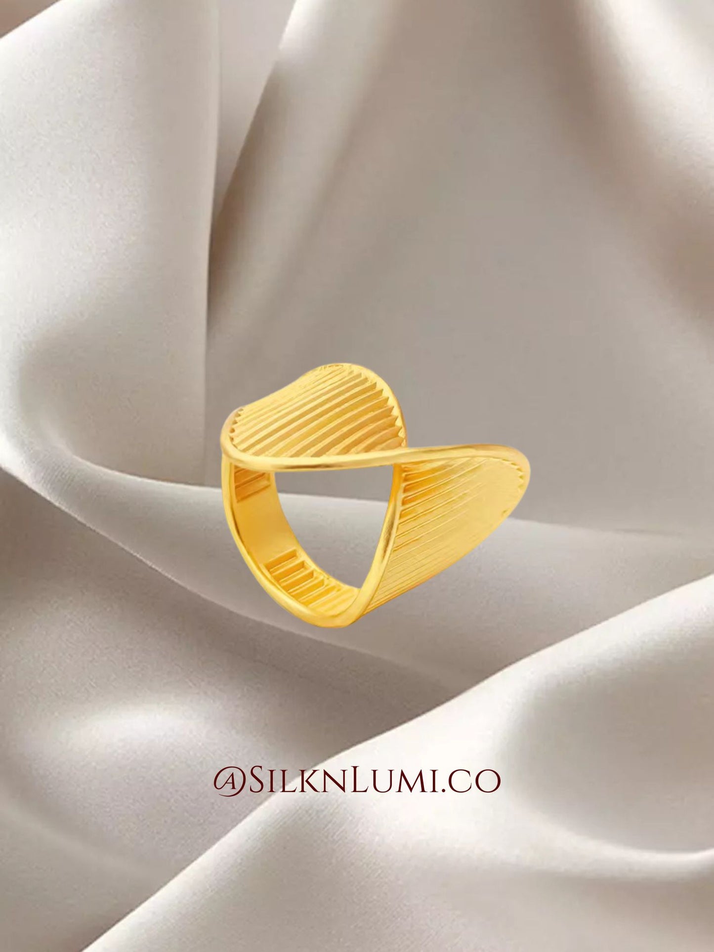 Anaya’s Silhouette